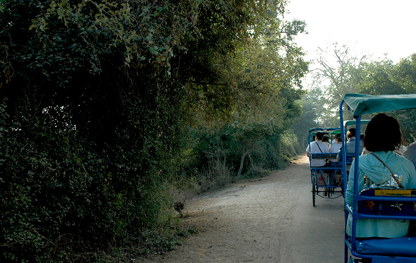 Рикши парк Кеоладео Индия
