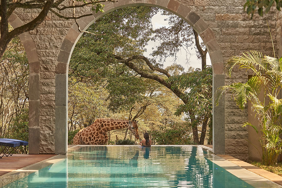  Бассейн в Retreat at Giraffe Manor 